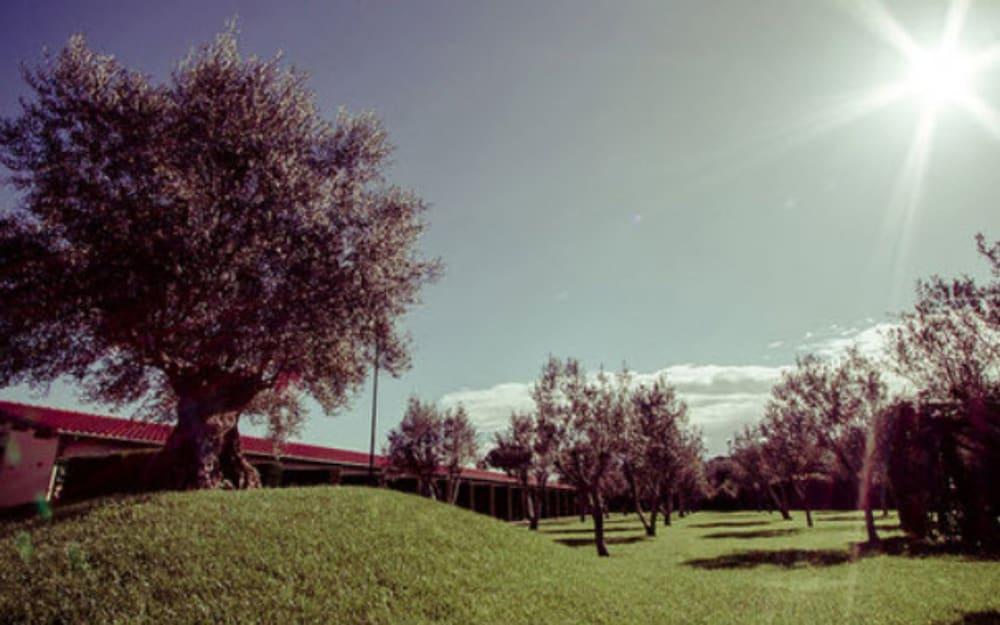 Ways Garden & Leisure Hotel Roma